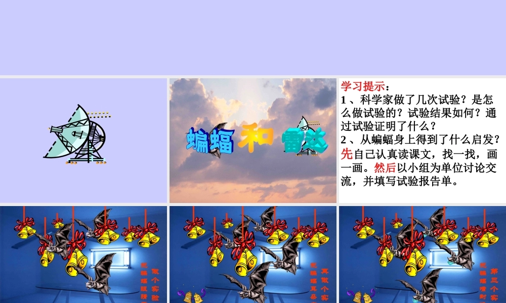 小学语文课件：蝙蝠和雷达