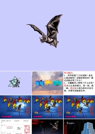 小学语文课件：蝙蝠和雷达