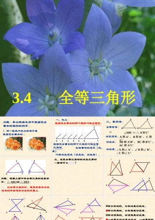 八年级数学全等三角形课件3 新课标 人教版 课件
