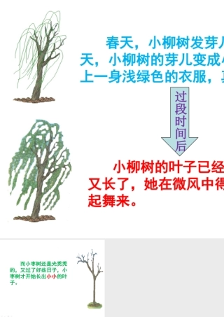 《小柳树和小枣树》2-4段展示讲解