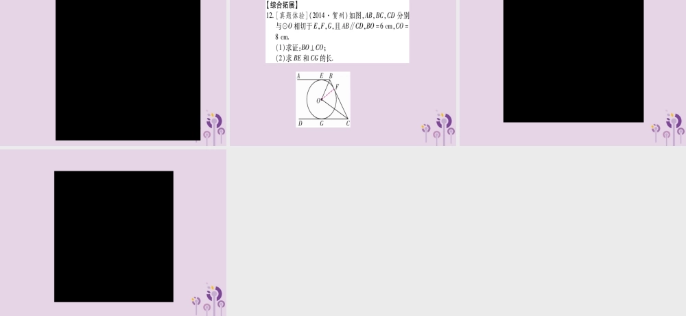 九年级数学下册 第2章 圆 25 直线与圆的位置关系 253 切线长定理作业课件 (新版)湘教版 课件