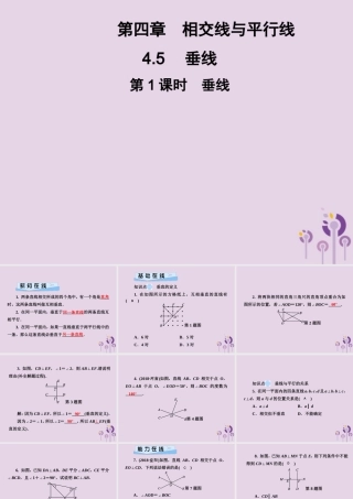 七年级数学下册 第4章(相交线与平行线)4.5 垂线 第1课时 垂线习题课件 (新版)湘教版 课件