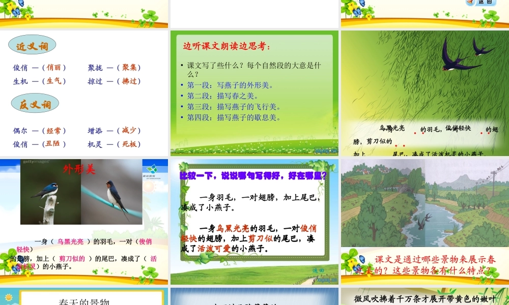 《燕子》课件