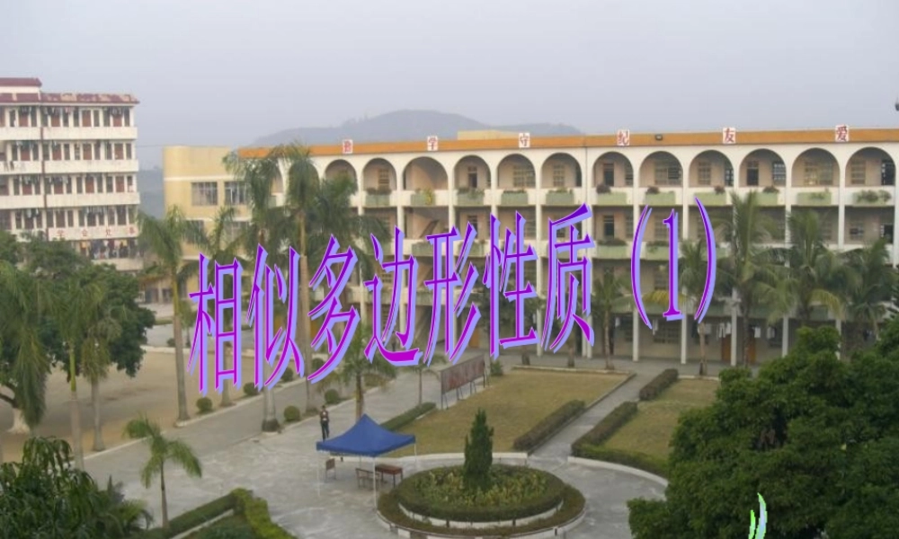 八年级数学下册 4.8相似多边形的性质 课件 北师大版 课件