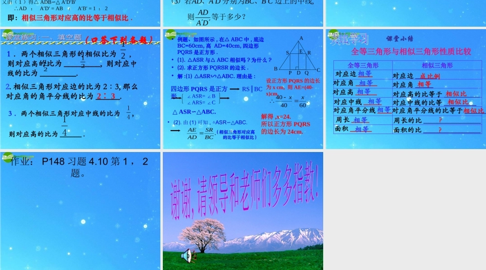 八年级数学下册 4.8相似多边形的性质 课件 北师大版 课件
