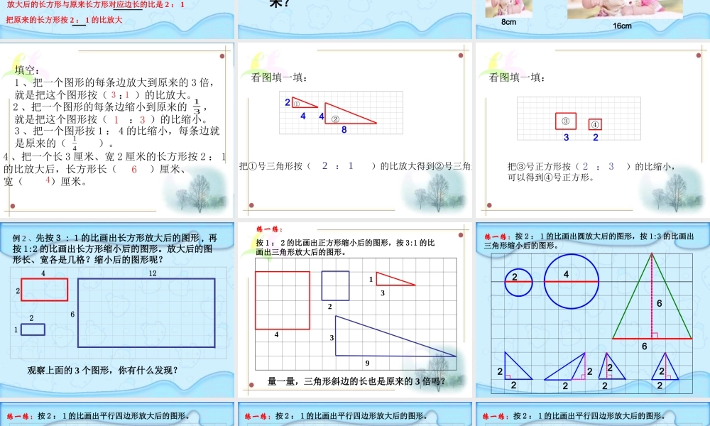 33图形的放大和缩小