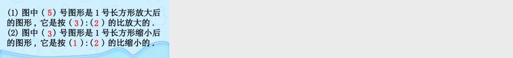 33图形的放大和缩小