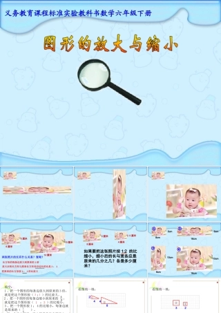 33图形的放大和缩小