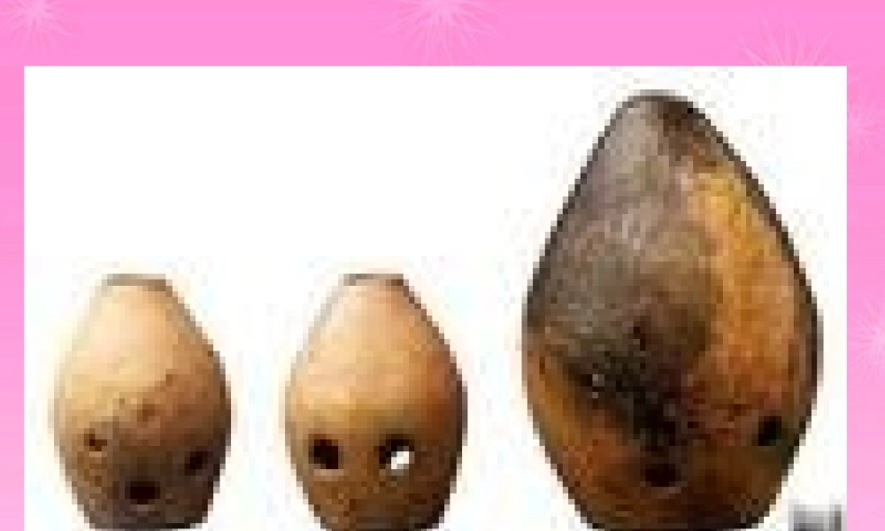 八年级历史 原始农业和先民的家园课件 人教新课标版 课件