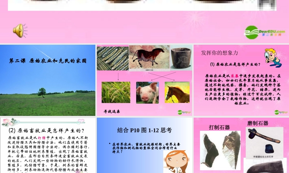 八年级历史 原始农业和先民的家园课件 人教新课标版 课件