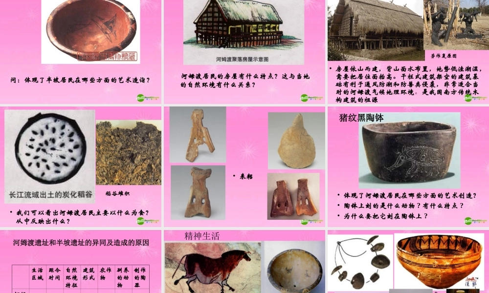 八年级历史 原始农业和先民的家园课件 人教新课标版 课件