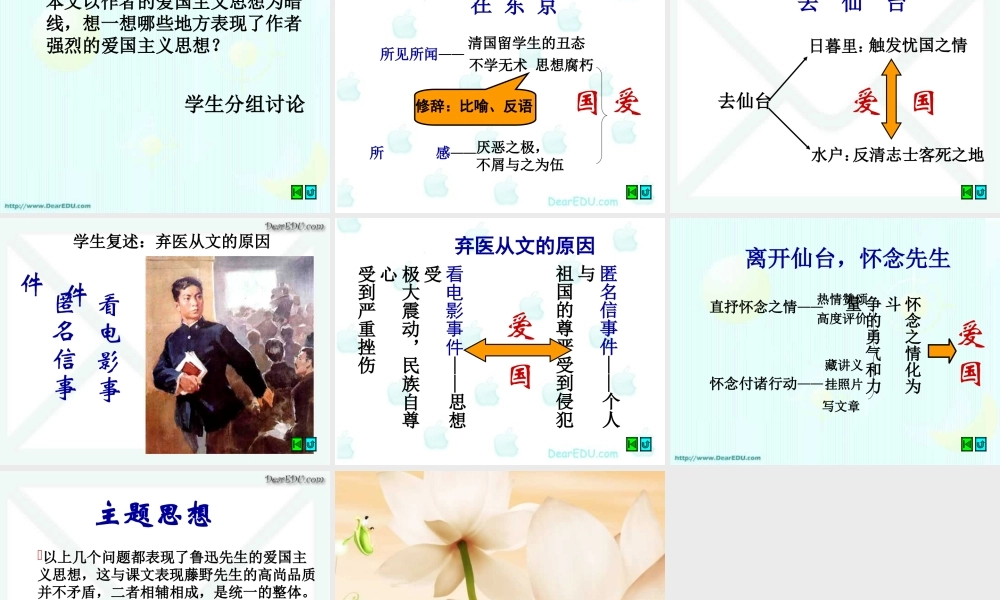初三语文藤野先生 鲁迅 课件