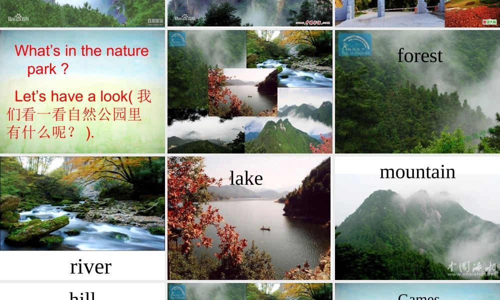 五上第六单元(A)Let'slearn