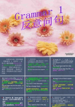 人教版高考专题复习 反意疑问句 试题