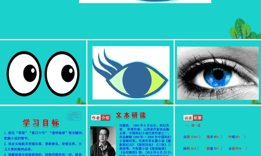 七年级语文下册 第六单元 23带上她的眼睛课件 新人教版 课件