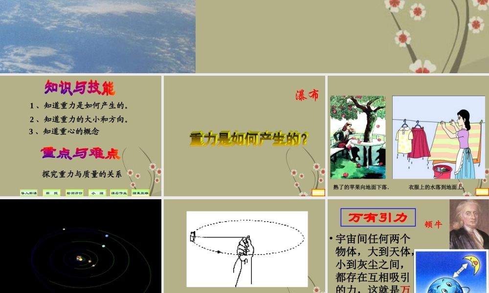 八年级物理下册《重力》课件_新人教版