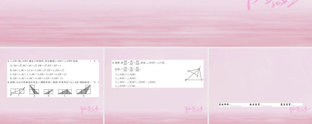 九年级数学上册 44 探索三角形相似的条件 第3课时 三边成比例的两个三角形相似练习课件 (新版)北师大版 课件