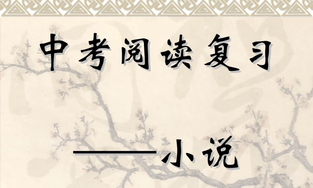 中考总复习——小说的阅读课件