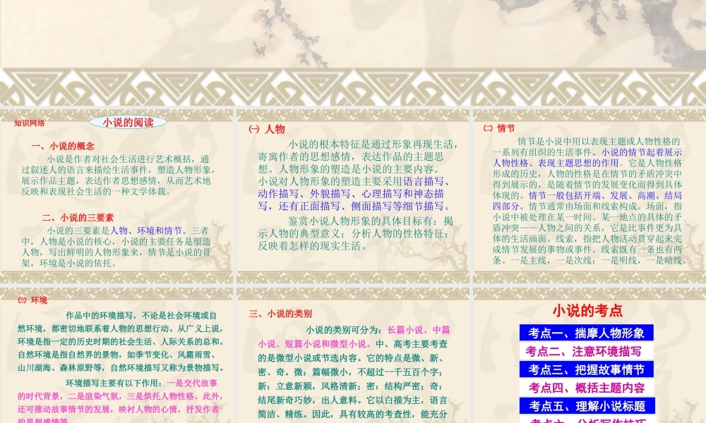 中考总复习——小说的阅读课件