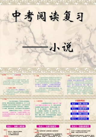中考总复习——小说的阅读课件