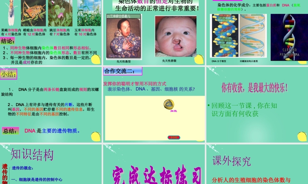 八年级生物上册 第四单元 第四章 第一节 遗传的物质基础课件(3)(新版)济南版 课件