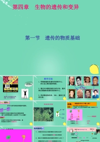 八年级生物上册 第四单元 第四章 第一节 遗传的物质基础课件(3)(新版)济南版 课件