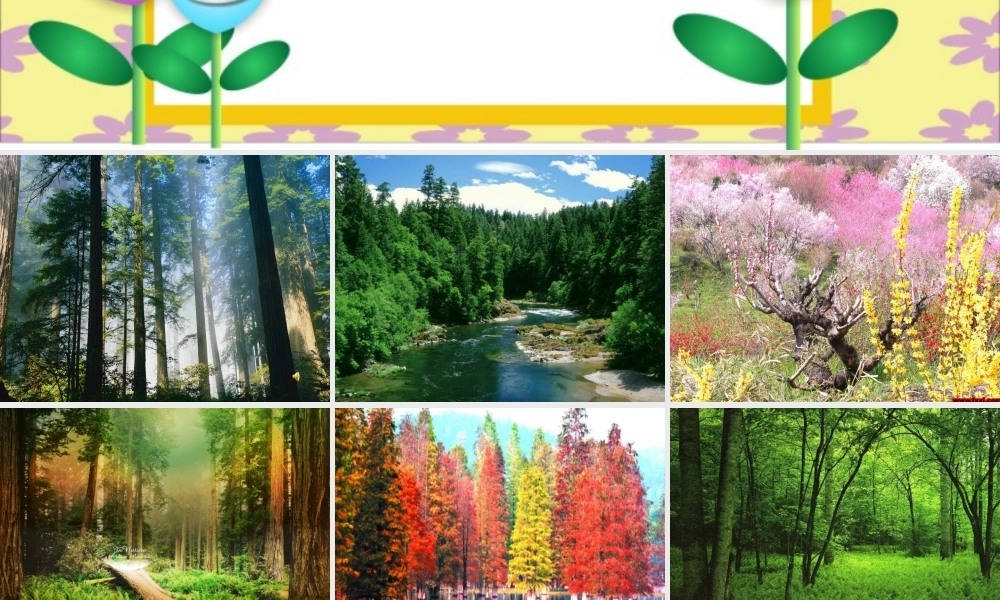 小熊住山洞_课件 (2)