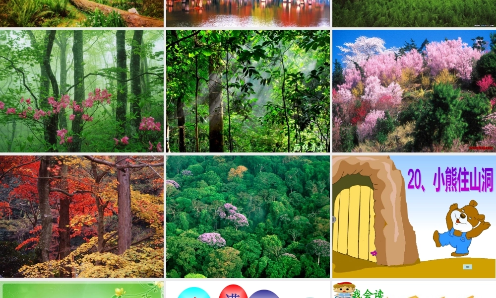 小熊住山洞_课件 (2)