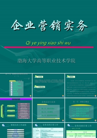 企业营销实务10推销员的销售活动