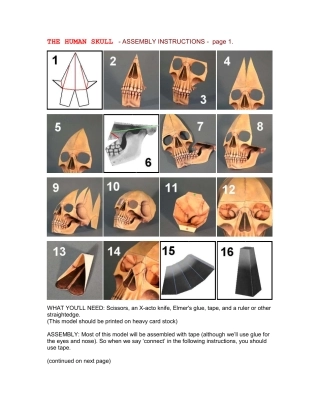 人类头骨纸模图纸(三)SkullINST