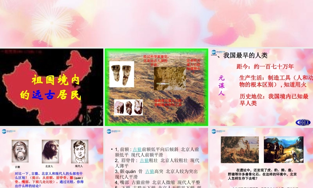 中学七年级历史上册(第1课 祖国境内的远古居民)课件 新人教版 学案-2