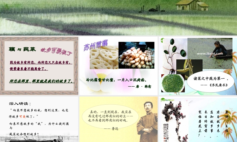 七年级语文上册(藕与莼菜)课件 上海五四制版 课件