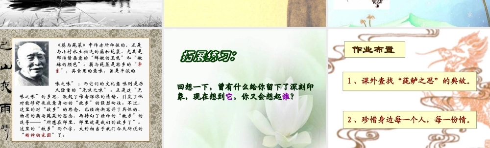 七年级语文上册(藕与莼菜)课件 上海五四制版 课件