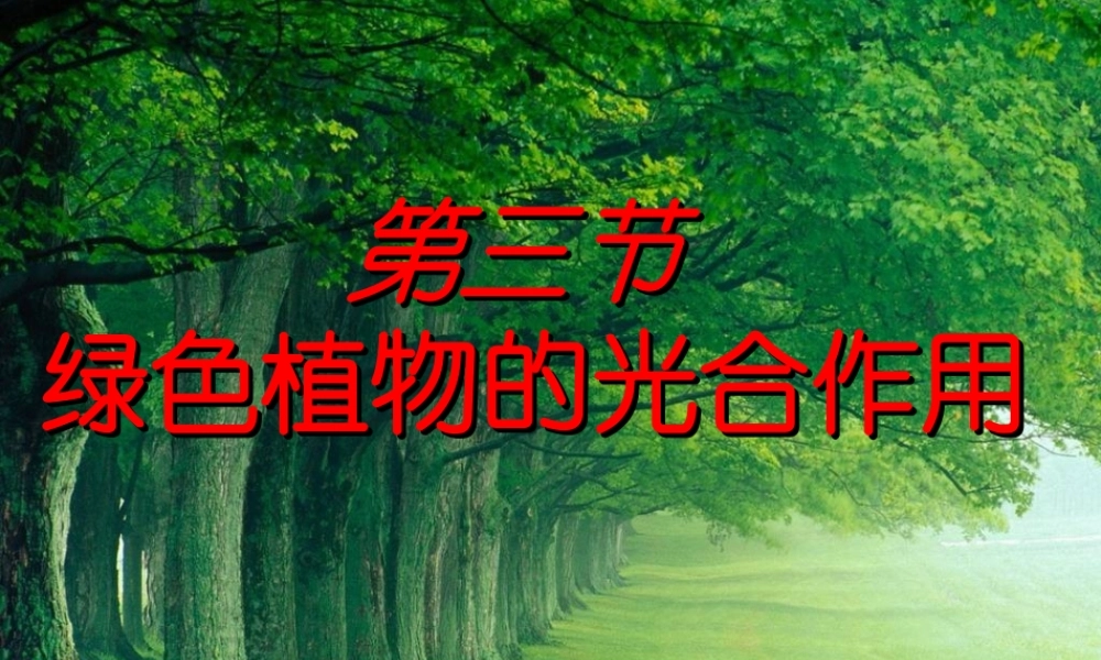 光合作用1 七年级生物第一章 光合作用课件