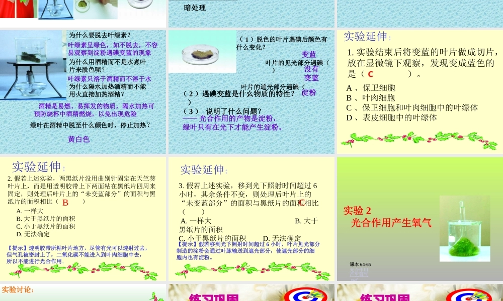 光合作用1 七年级生物第一章 光合作用课件