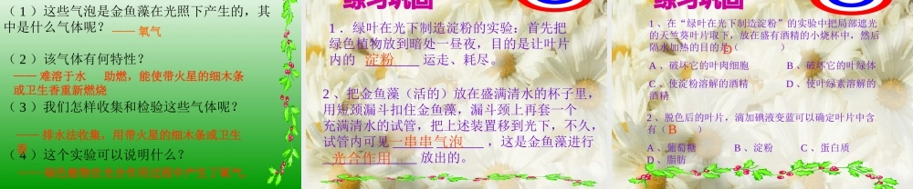 光合作用1 七年级生物第一章 光合作用课件