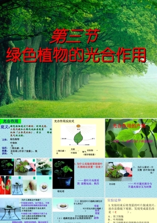 光合作用1 七年级生物第一章 光合作用课件