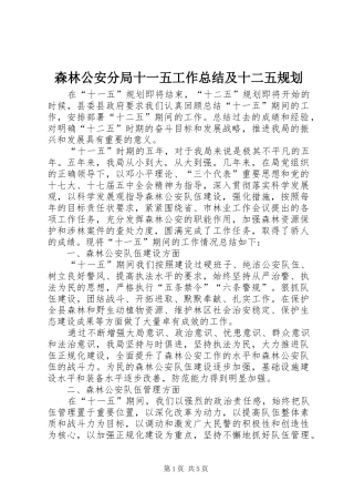 森林公安分局十一五工作总结及十二五规划