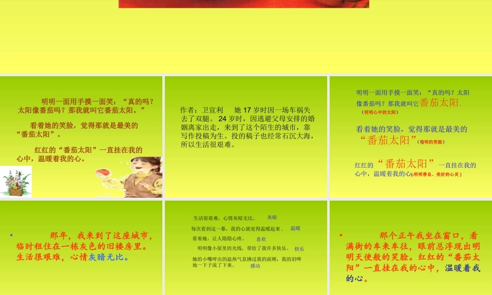 《番茄太阳》课件