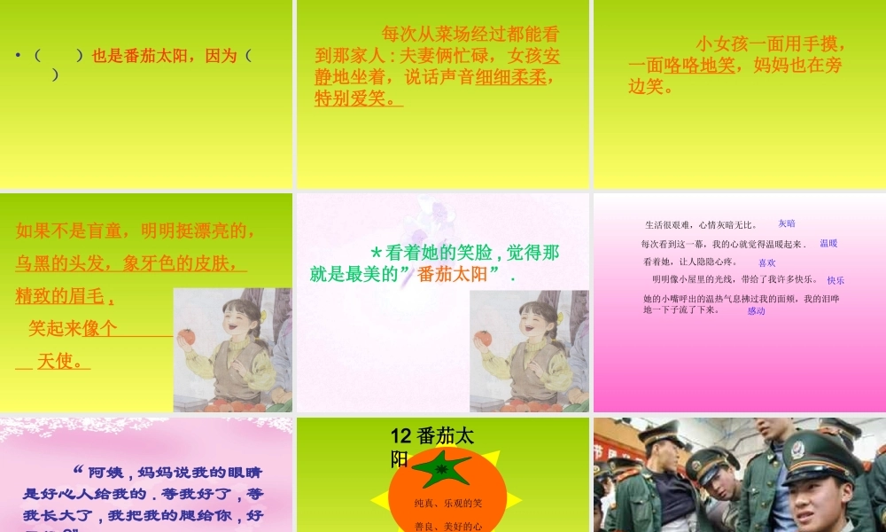 《番茄太阳》课件