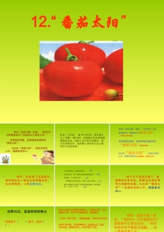 《番茄太阳》课件