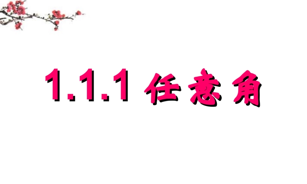 广东惠州市高一数学(任意角)课件