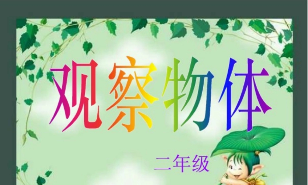 观察物体（二上）