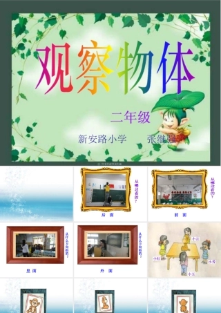 观察物体（二上）
