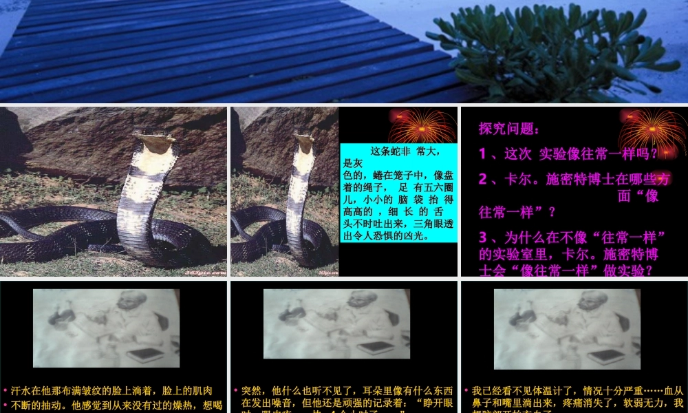 《血染的实验报告》课件 (2)