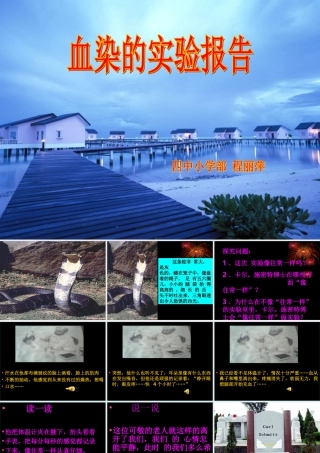 《血染的实验报告》课件 (2)