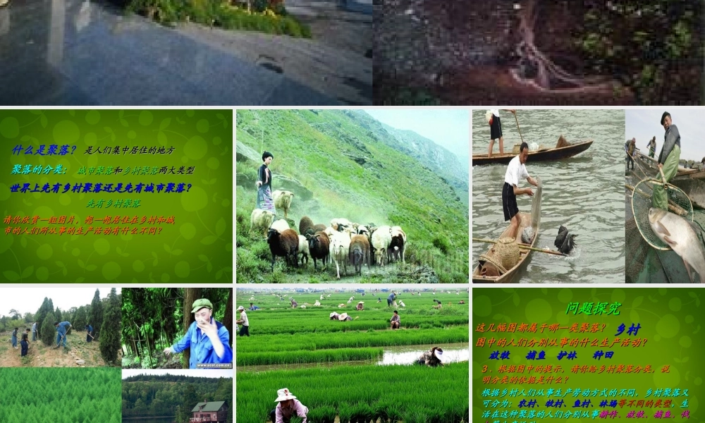 中学七年级地理上册 4.3 人类的居住地—聚落课件 新人教版 课件
