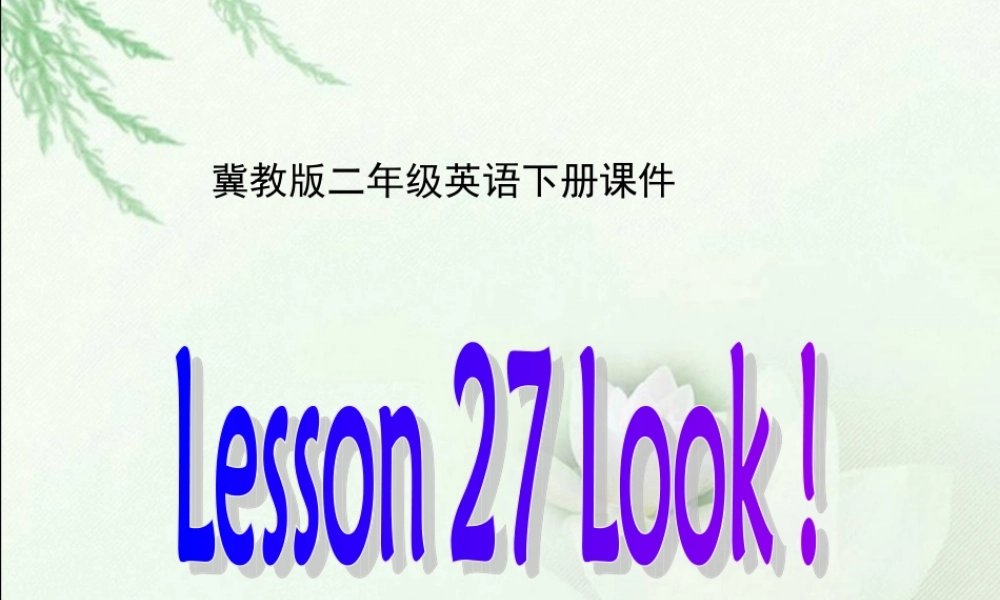 冀教版二年级英语下册课件Lesson-27-Look