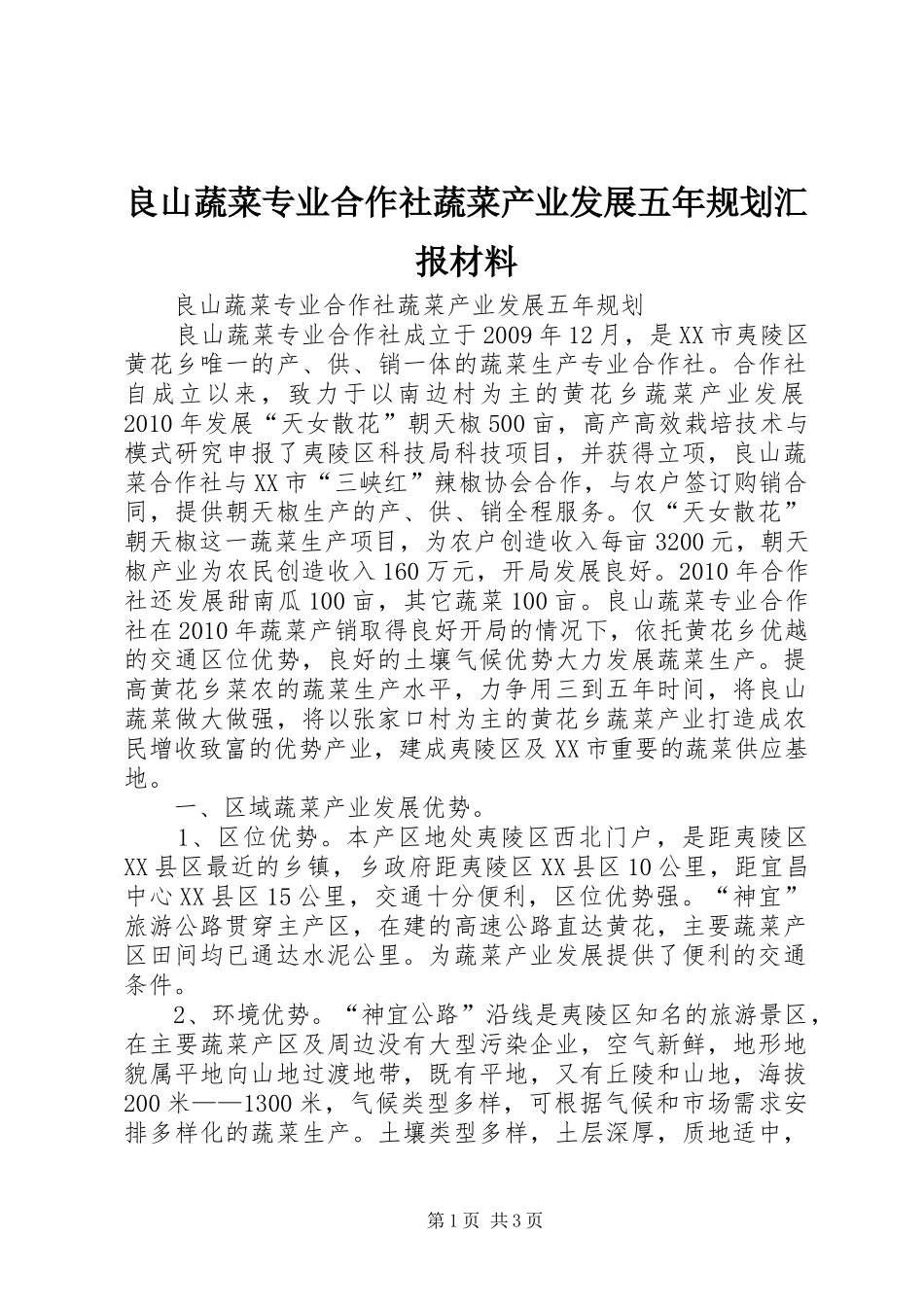 良山蔬菜专业合作社蔬菜产业发展五年规划汇报材料_第1页
