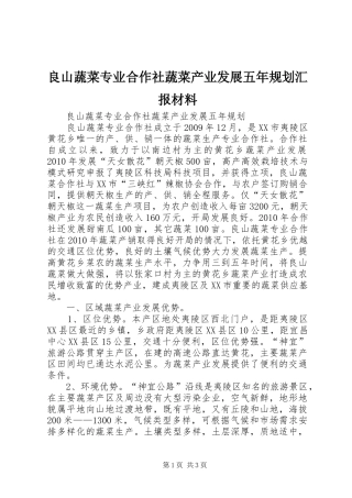 良山蔬菜专业合作社蔬菜产业发展五年规划汇报材料